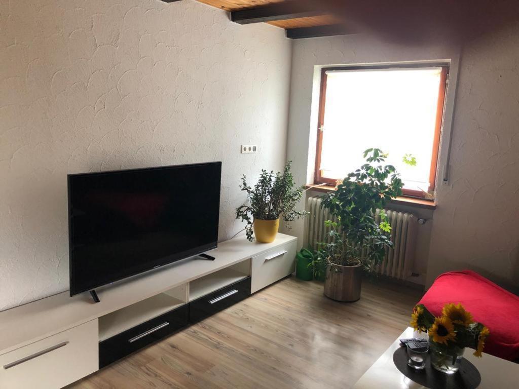 Ferienwohnung Zur Sonnenterasse In Gersbach Schopfheim Extérieur photo